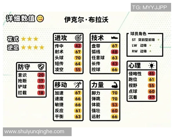 无敌足球巨星的传奇之路与辉煌成就全解析