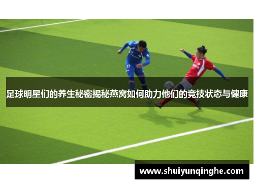 足球明星们的养生秘密揭秘燕窝如何助力他们的竞技状态与健康
