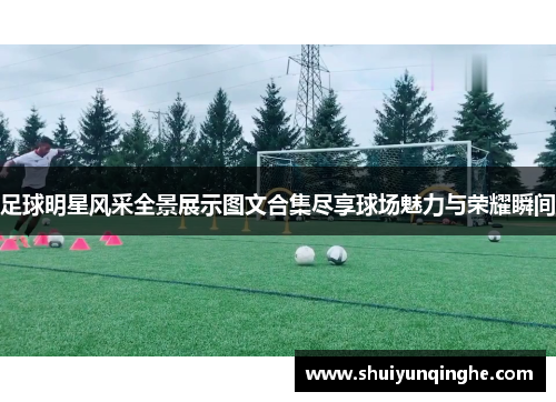 足球明星风采全景展示图文合集尽享球场魅力与荣耀瞬间