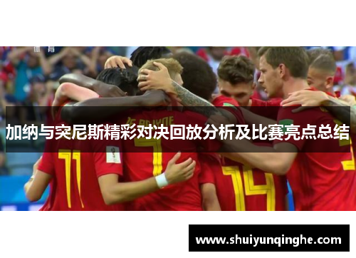 加纳与突尼斯精彩对决回放分析及比赛亮点总结