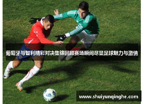 葡萄牙与智利精彩对决集锦回顾赛场瞬间尽显足球魅力与激情